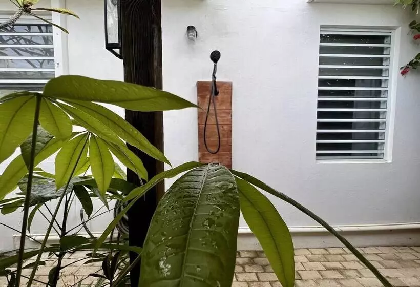 پانسیون Sonsoleá