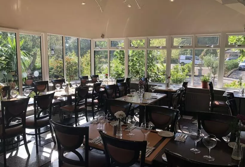 ホテル Michelangelos   Rooms, Restaurant & Bar