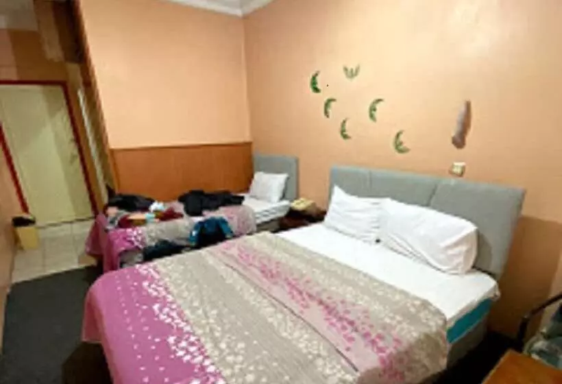 Otel Yeni Cinar