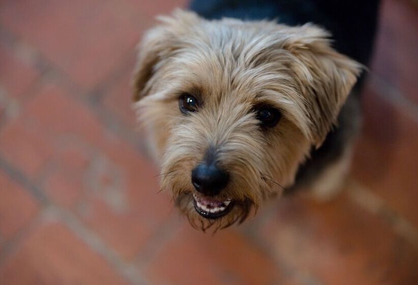 ベッドアンドブレックファースト The Red Lion At Hellidon