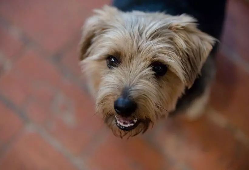 Aamiaismajoitus (B&B) The Red Lion At Hellidon