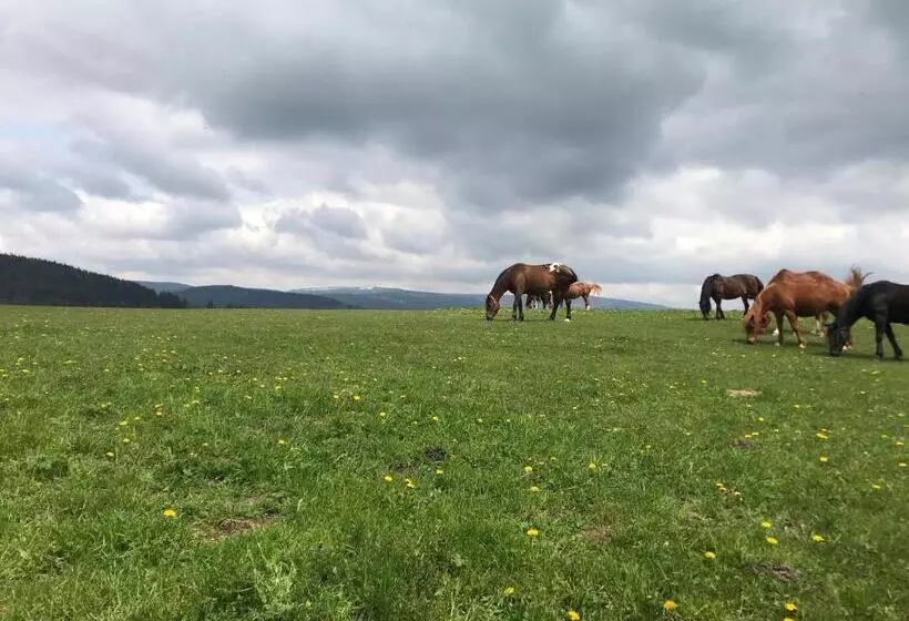 ペンション Knežicka Chalupa