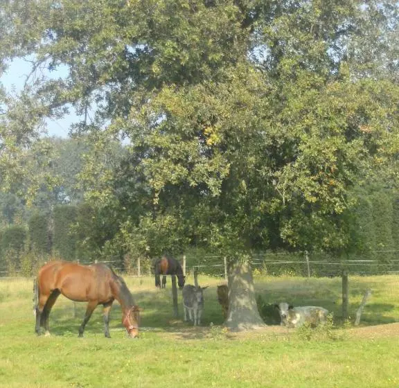 ホテル Farm Stay Luythoeve