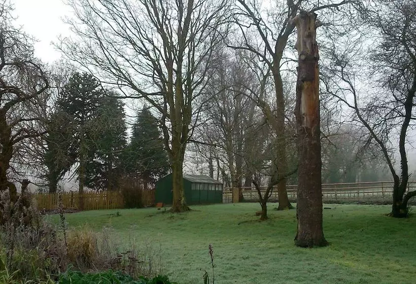 The Victorian House B&b