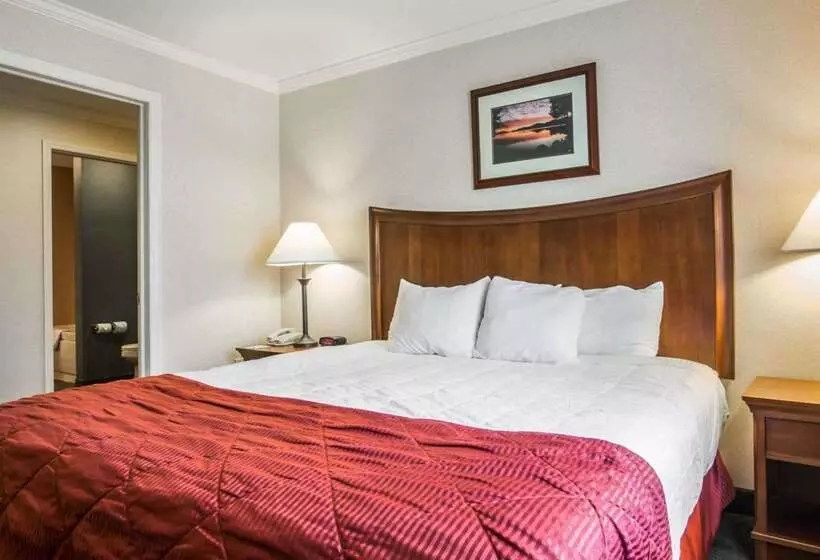 호텔 Clarion Inn & Suites At The Outlets Of Lake George