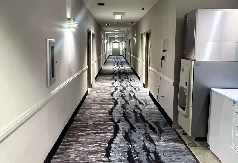 호텔 Days Inn By Wyndham Denham Springsbaton Rouge East