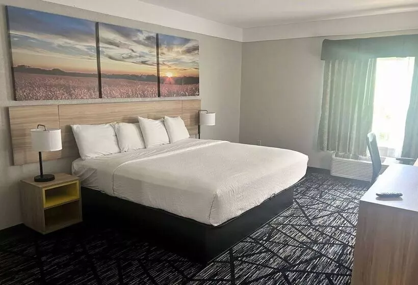 호텔 Days Inn By Wyndham Denham Springsbaton Rouge East