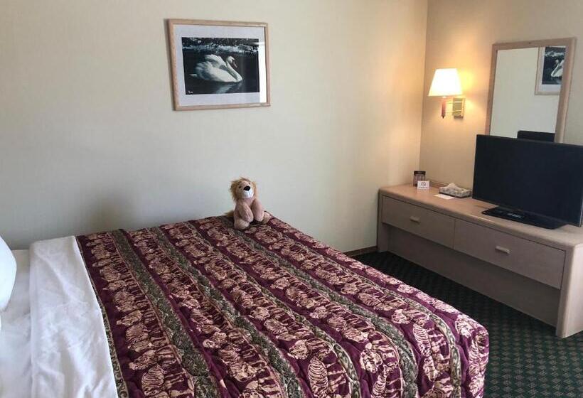 בית מלון כפרי Kings Inn Cody