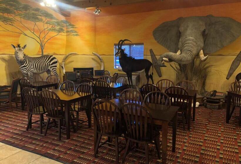 בית מלון כפרי Kings Inn Cody