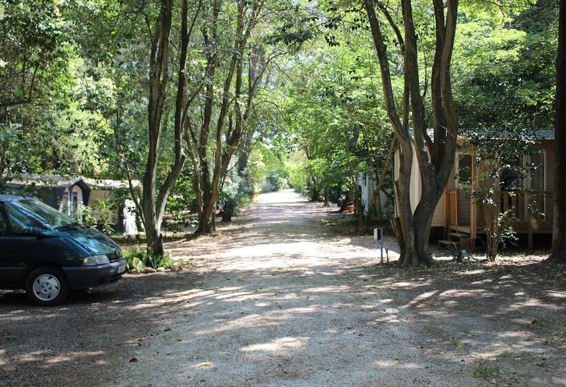 هتل Camping De La Chapelette