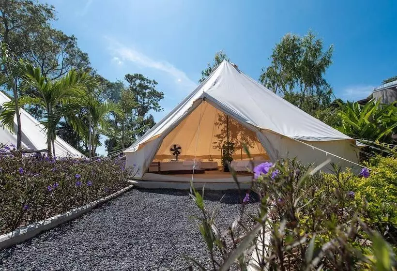ホテル Roost Glamping   Sha Certified
