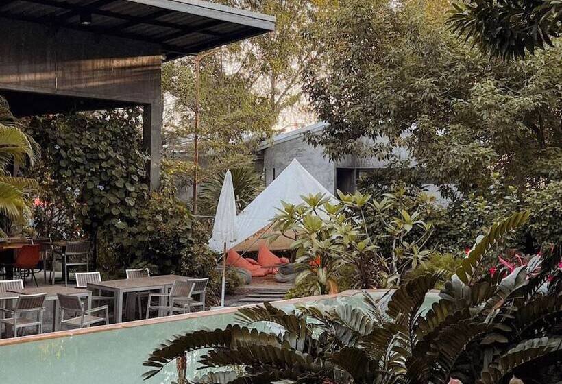 בית מלון כפרי Roost Glamping   Sha Certified