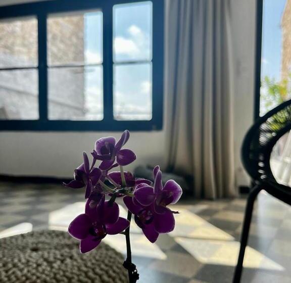 膳宿费 Carpe Diem