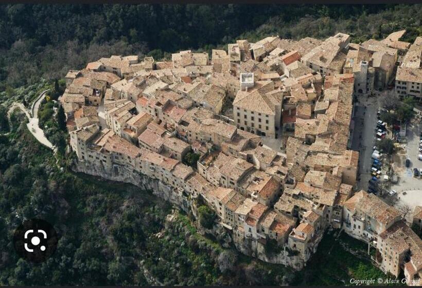 膳宿费 Carpe Diem