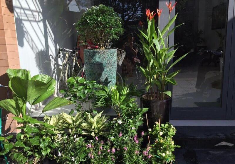 پانسیون La An Homestay