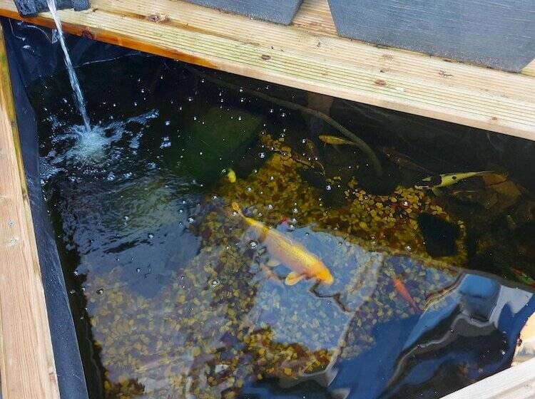 פנסיון Rest And Welcome