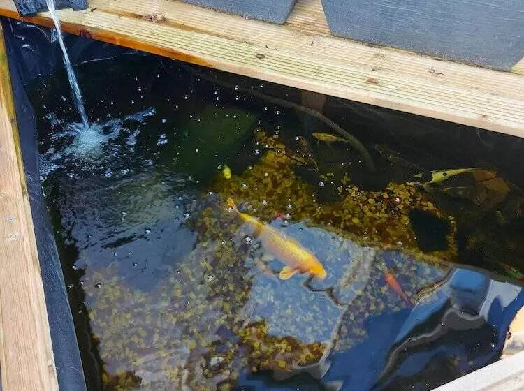 Majatalo Rest And Welcome