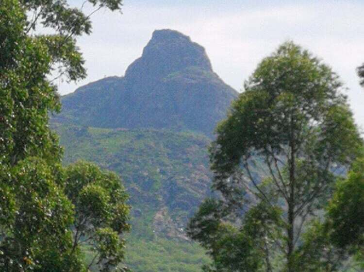 Пансион Rhino Rest Camp