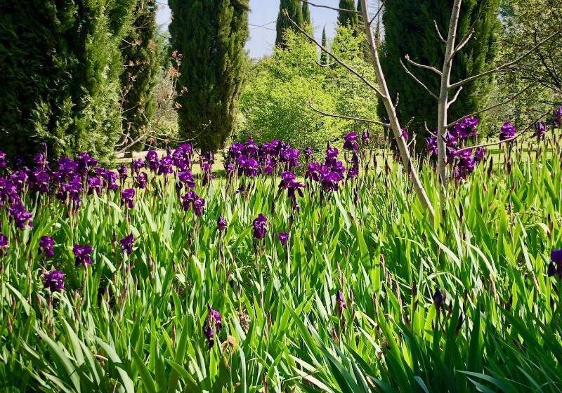 بنسيون Bastide Du Régent