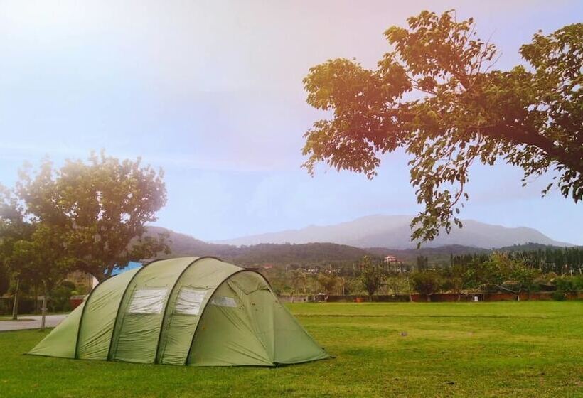 پانسیون Forest