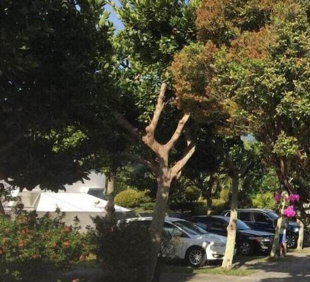 پانسیون Forest