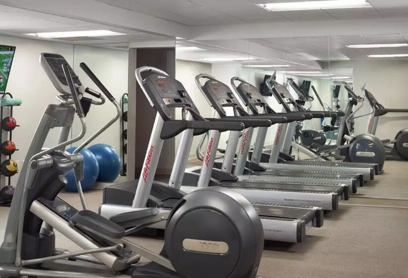 בית מלון כפרי Courtyard Miami Coconut Grove