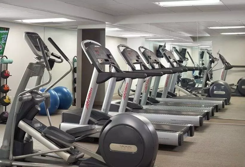 בית מלון כפרי Courtyard Miami Coconut Grove