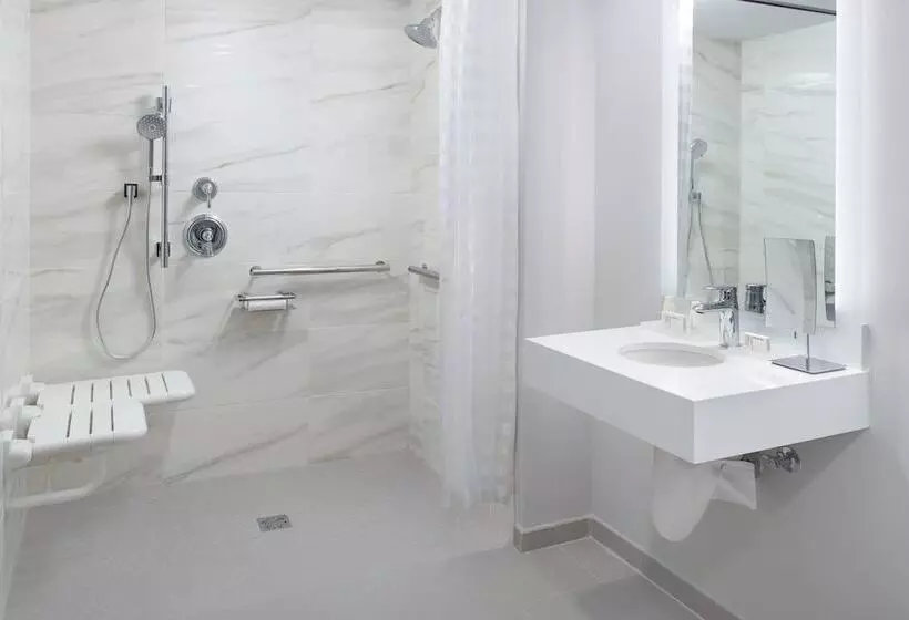 בית מלון כפרי Courtyard Miami Coconut Grove