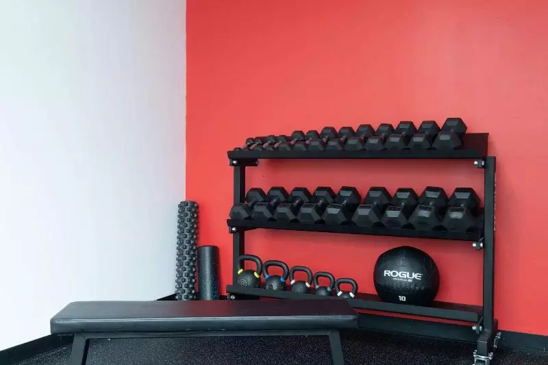 Skyline Hotel Detroit Airport, Surestay Collection By Bw