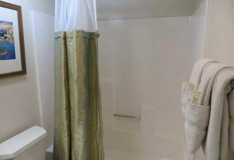 ホテル Desert Breezes Resort