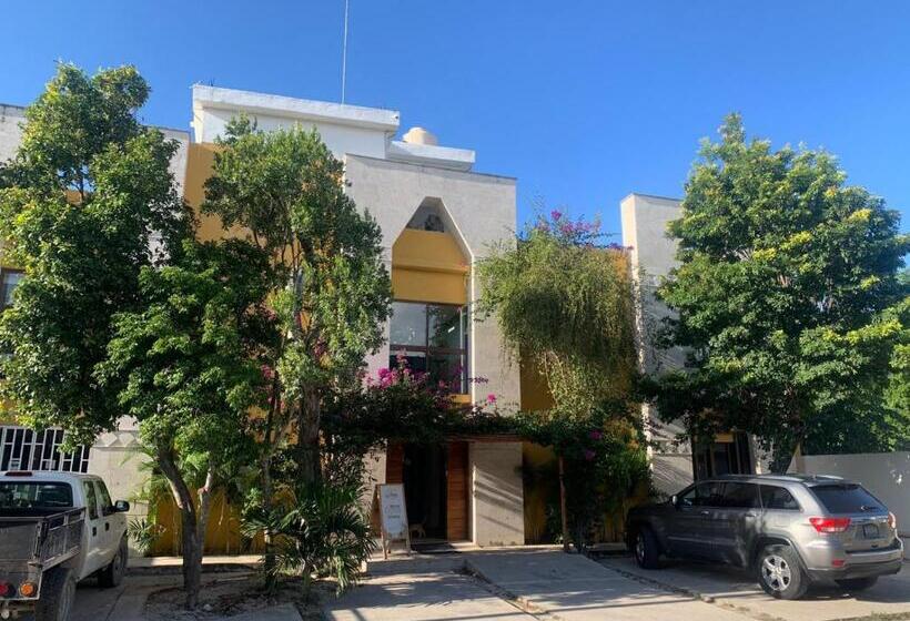 Los Arcos Hotel   Tulum