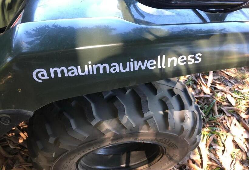 펜션 Maui Maui Wellness  Taipu De Fora