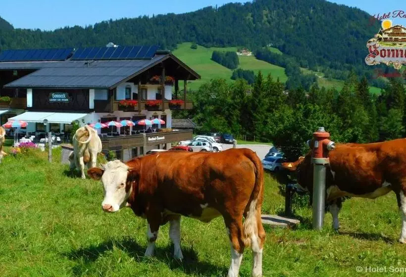 Hotelli Gasthof Sonneck