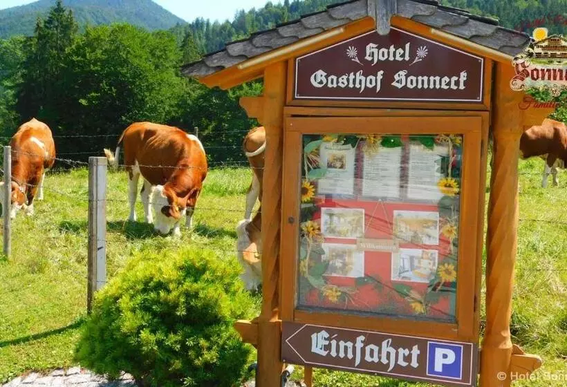 Hotelli Gasthof Sonneck