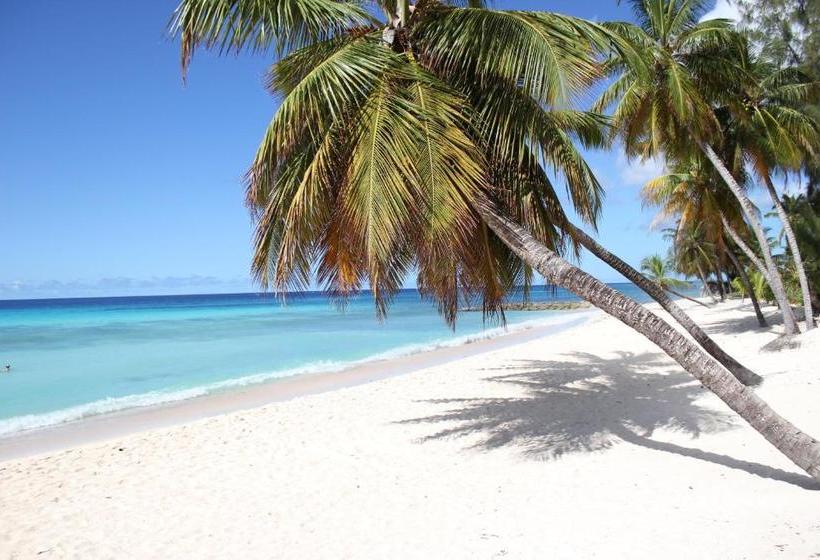 پانسیون Beach Guest House Cleverdale