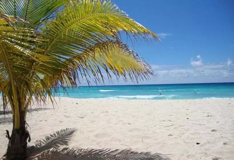 پانسیون Beach Guest House Cleverdale
