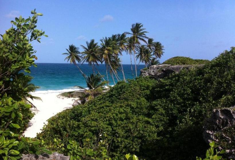 پانسیون Beach Guest House Cleverdale