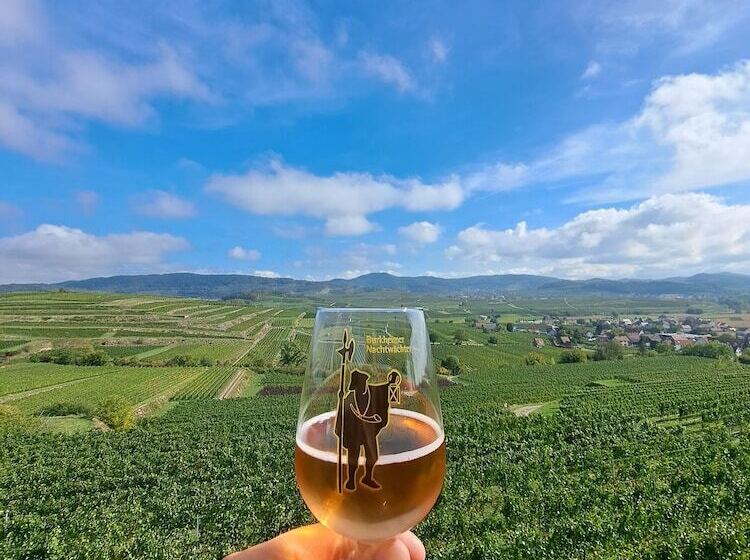 Pension Yvonne  Superior