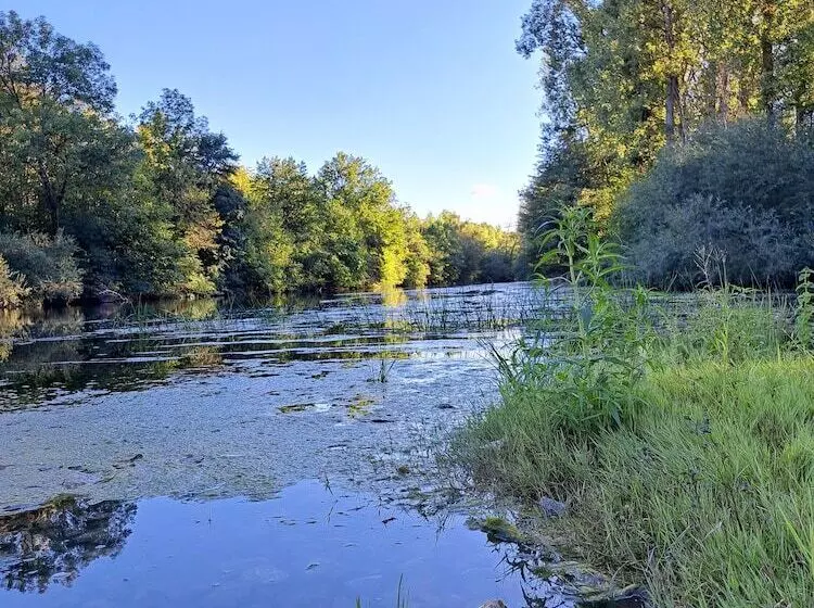 Pension Yvonne  Superior