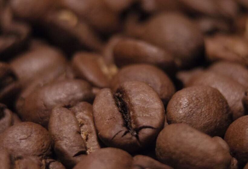 פנסיון Cafe & Inn That Sounds Good