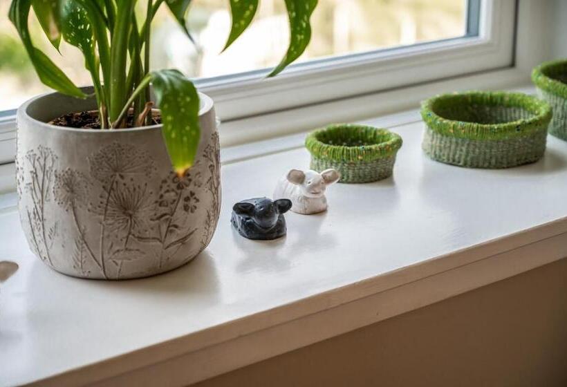 Pensione Carters Rest Guesthouse