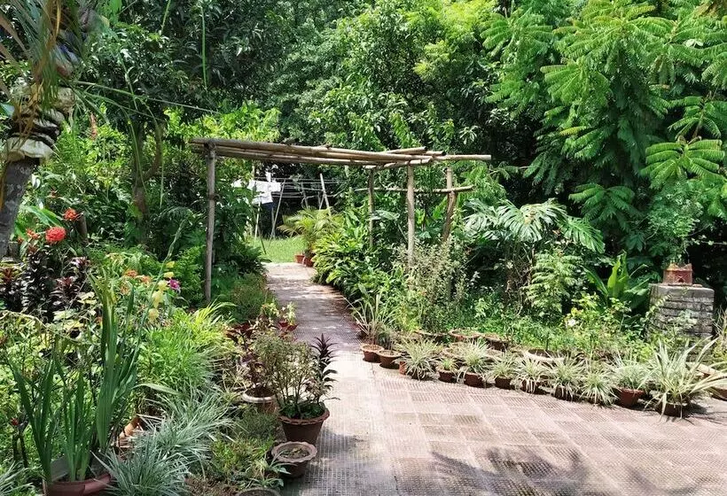 Green Point Resort