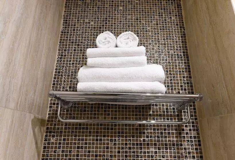 Hotelli At The Rhythmic Gymnastics Center Irina Viner  Usmanova