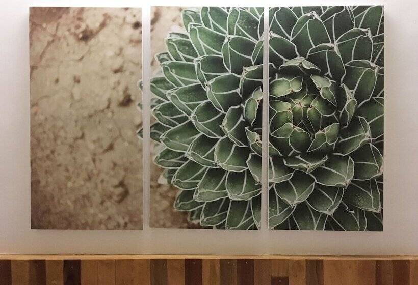 فندق Kahanamoku Bed & Breakfast