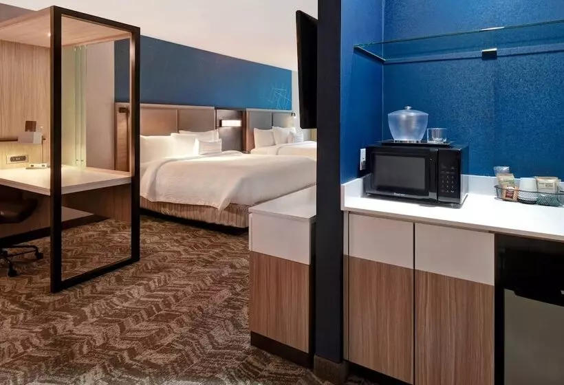 ホテル Springhill Suites By Marriott Holland