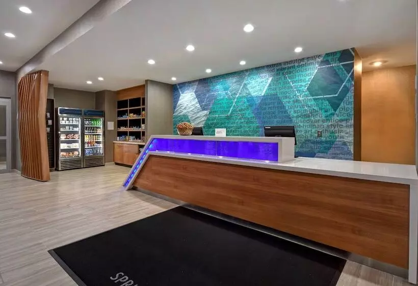 ホテル Springhill Suites By Marriott Holland