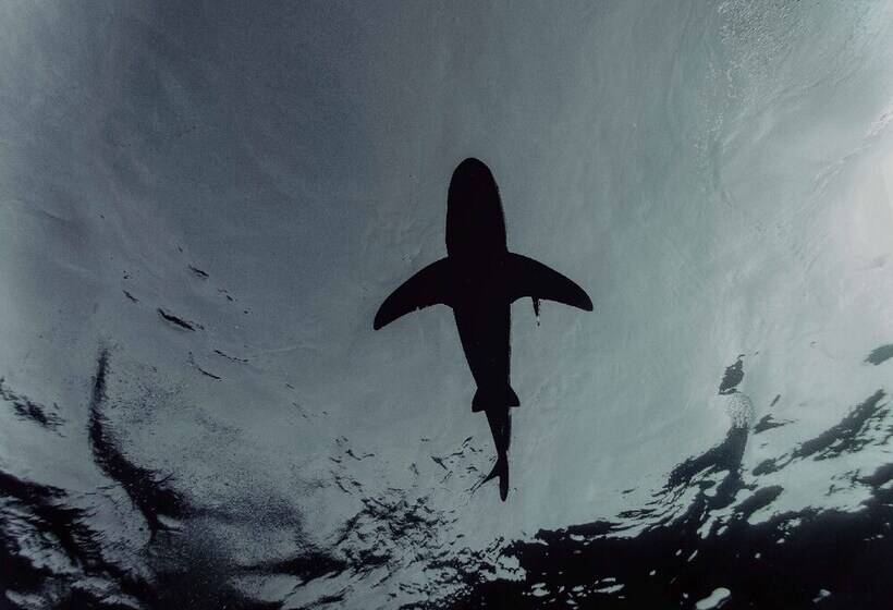 膳宿费 Aqua Marina Guest House