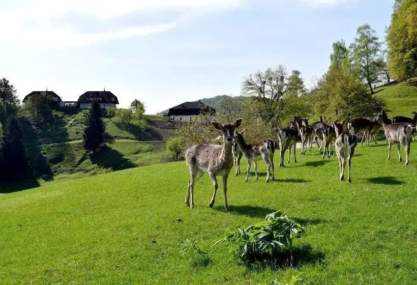 پانسیون Guesthouse Jelenov Greben