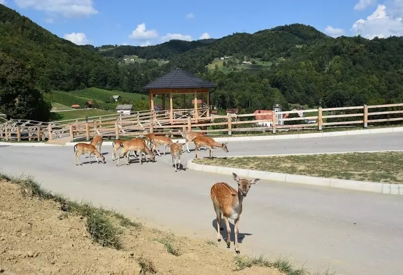 پانسیون Guesthouse Jelenov Greben