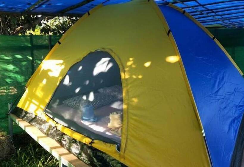 Pensió The Rest Maesai